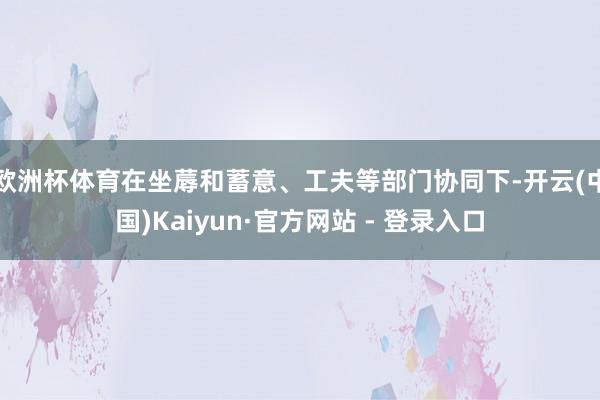 欧洲杯体育在坐蓐和蓄意、工夫等部门协同下-开云(中国)Kaiyun·官方网站 - 登录入口