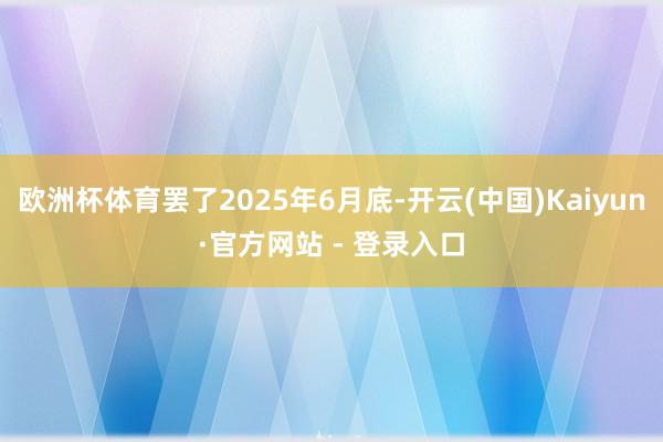 欧洲杯体育罢了2025年6月底-开云(中国)Kaiyun·官方网站 - 登录入口